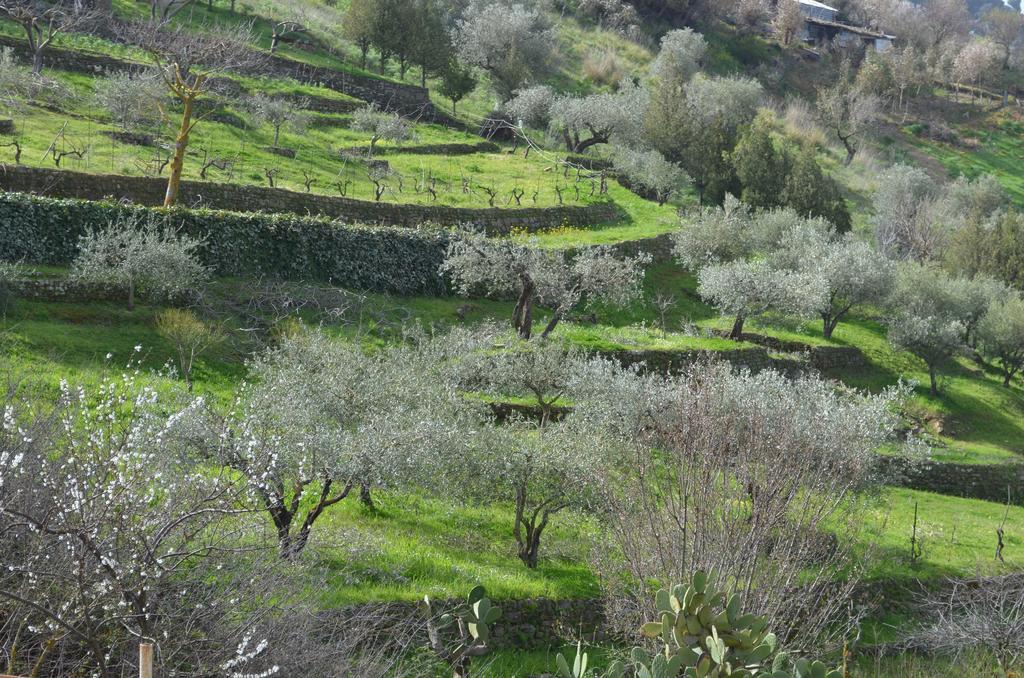 Villa Della Mimosa Alia Eksteriør bilde
